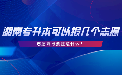 湖南專升本可以報幾個志愿？志愿填報要注意什么.png