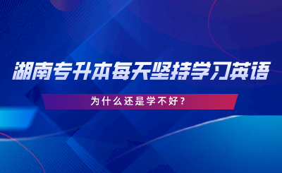 湖南專升本每天堅持學習英語，為什么還是學不好.png
