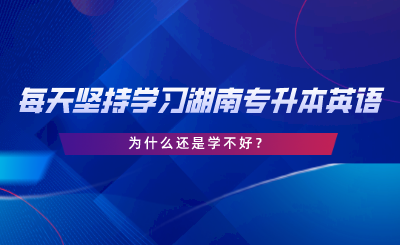 每天堅(jiān)持學(xué)習(xí)湖南專升本英語(yǔ)，為什么還是學(xué)不好.png