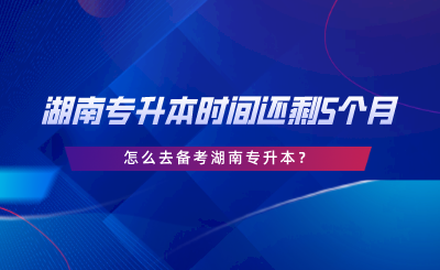 湖南專升本時(shí)間還剩5個(gè)月，怎么去備考湖南專升本.png