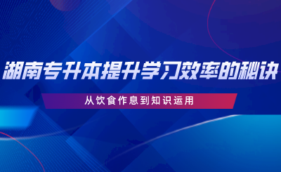 湖南專升本提升學(xué)習(xí)效率的秘訣：從飲食作息到知識運用.png