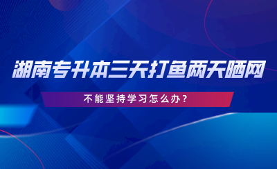 2024年湖南專(zhuān)升本三天打魚(yú)兩天曬網(wǎng)，不能堅(jiān)持學(xué)習(xí)怎么辦.png