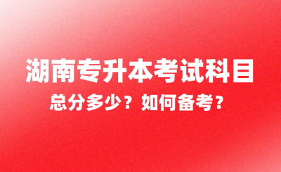 2025年湖南專升本考試科目總分多少？如何備考？