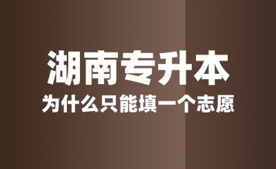 湖南專升本為什么只能填一個(gè)志愿？