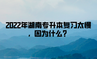 2022年湖南專升本復(fù)習(xí)太慢，因為什么？(圖1)