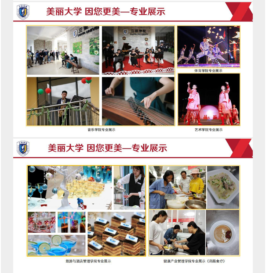 2023年三亞學(xué)院高職（?？疲┥究普猩喺鹿迹?圖16)