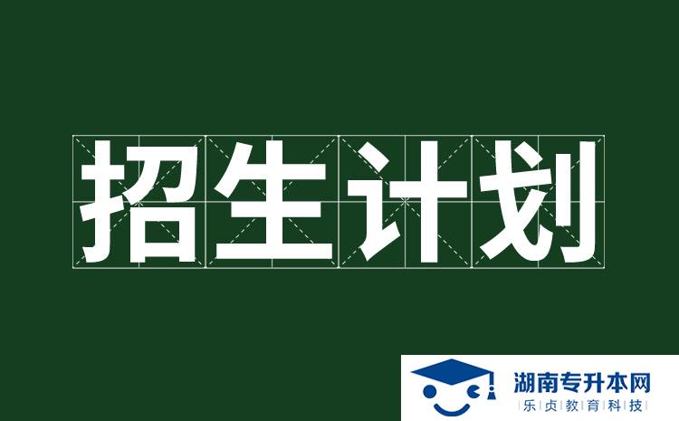 2022年湖南省單招國際商務（中外合作辦學）專業(yè)有哪些學校(圖1)