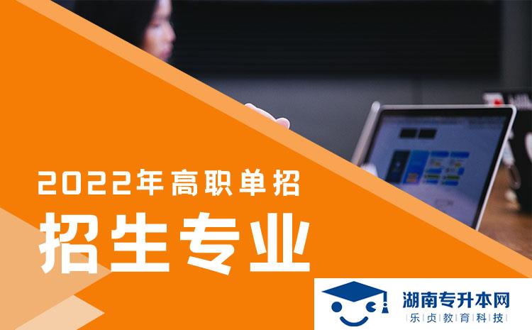 2022年湖南省單招展示藝術(shù)設(shè)計(jì)專(zhuān)業(yè)有哪些學(xué)校(圖1)