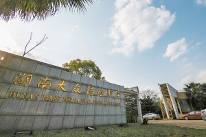 湖南大眾傳媒職業技術學院2020單招招生計劃