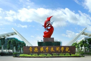 常德職業(yè)技術(shù)學院2020年單獨招生計劃表