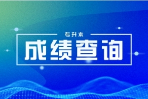 2023年湖南工商大學(xué)專(zhuān)升本成績(jī)查詢(xún)?nèi)肟? /></a></dt>
                        <dd class=