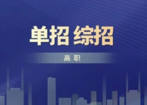 高職單招考試招生和高職綜合評價(jià)招生的區(qū)別有何不同？(圖1)