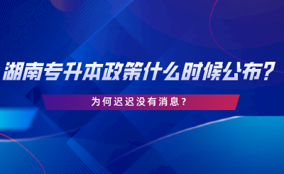 2024年湖南專升本政策什么時候公布？為何遲遲沒有消息.png
